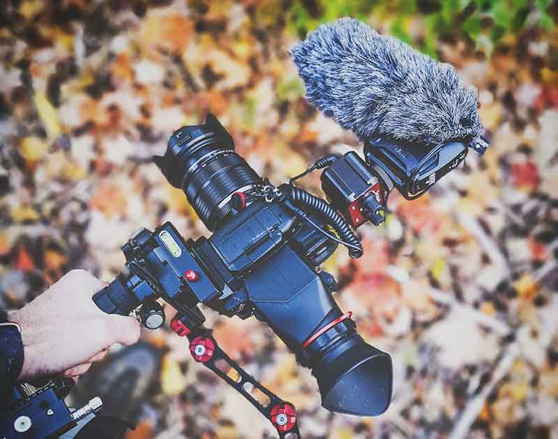 Nature videographer in Canada