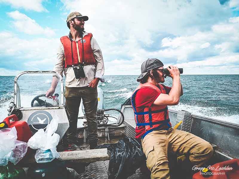 Long Point Bird Observatory