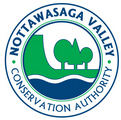 nvca-logo